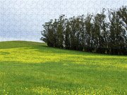 Rolling Hills With Blooming Wildflowers Jigsaw Puzzle