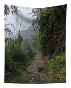 Misty Forest Pathway On The Inca Trail Tapestry