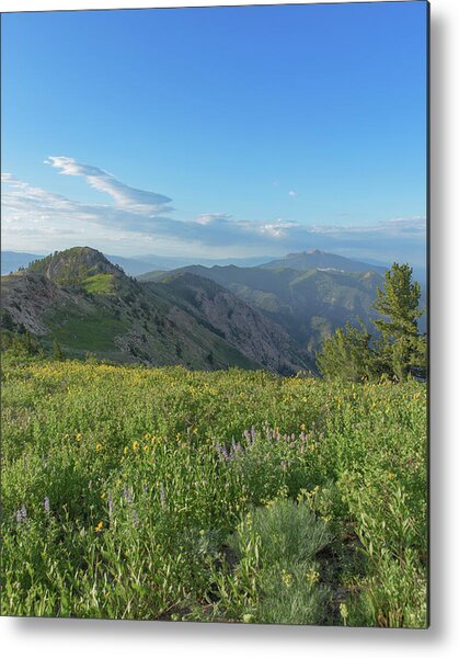Mountain View with Wildflowers Metal Print