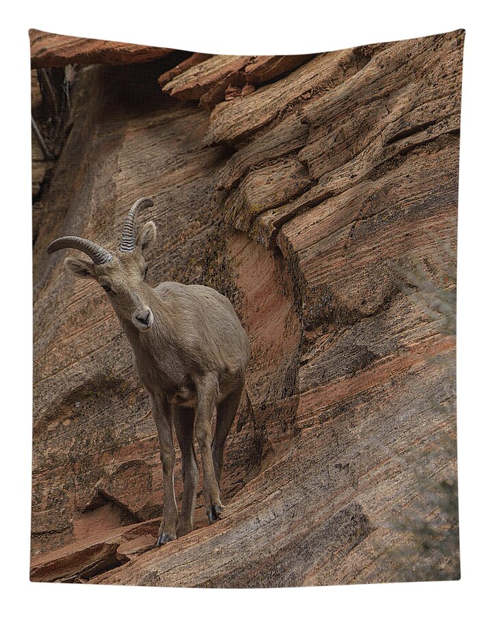 Bighorn Sheep On Rocky Terrain Tapestry