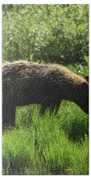 Solitary Bear In Grand Teton National Park Bath Towel
