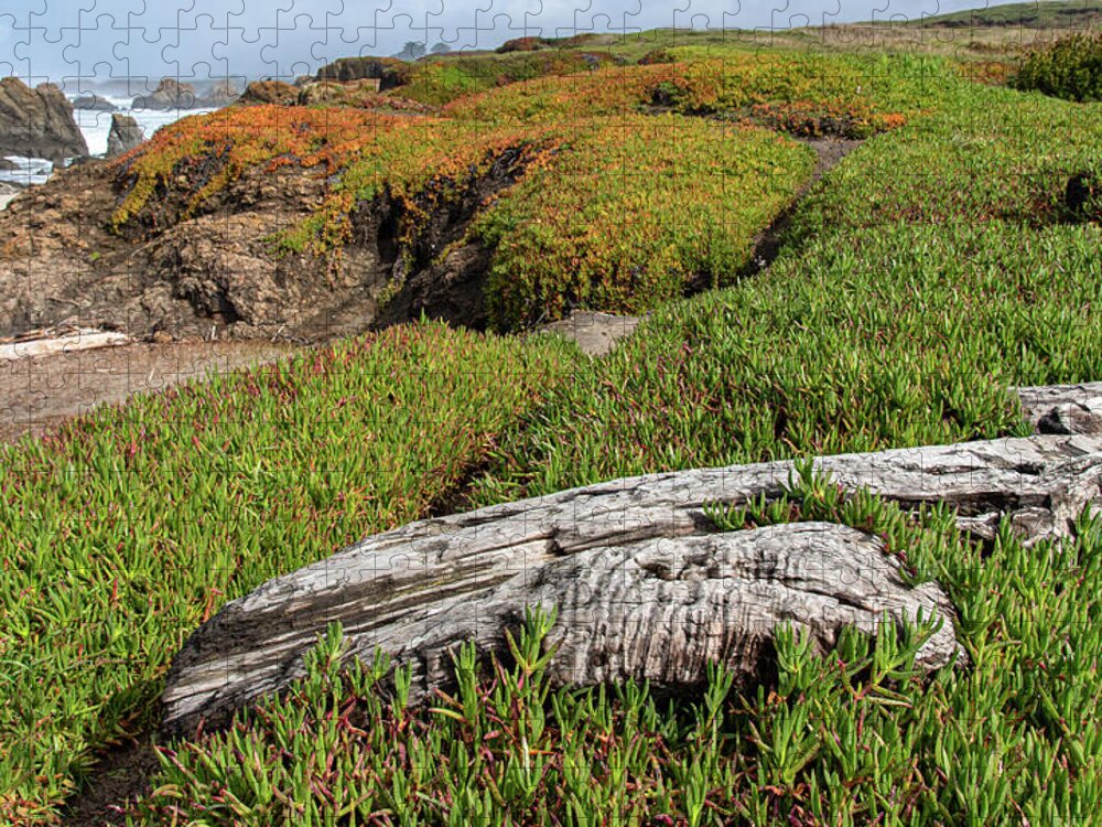 Coastal Landscape with Driftwood Jigsaw Puzzle