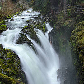 Serene Flow Through Mossy Forest