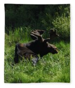 Moose Resting In Sunlit Meadow In Grand Teton National Park Fleece Blanket