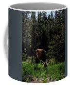 Elk Grazing In A Sunlit Forest In Grand Teton National Park Coffee Mug