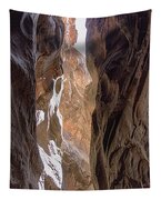 Sunlit Canyon Walls In The Narrows Tapestry