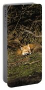 Peaceful Fox in Sunlit Meadow Portable Battery Charger by Brandon Wichmann