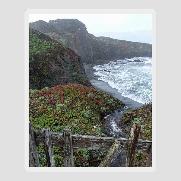 Rocky Coastline With Vibrant Foliage Sticker