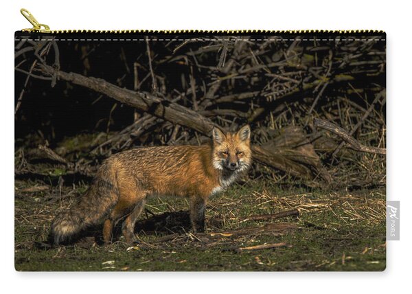 Fox In Sunlit Forest Clearing Zip Pouch