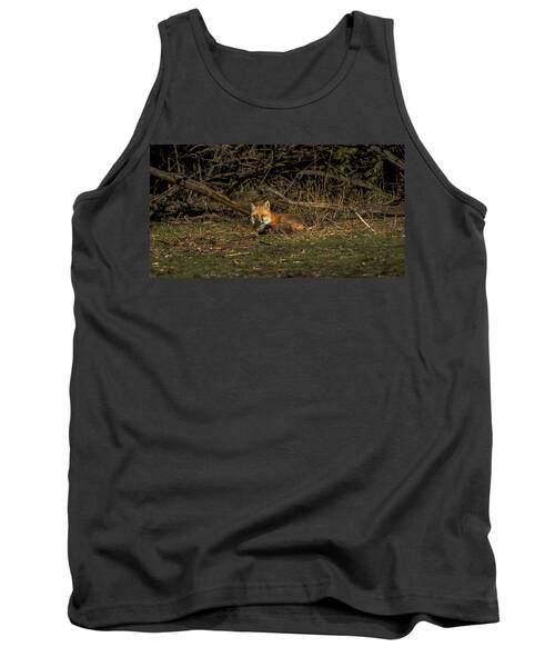 Fox Resting In Sunlit Clearing Tank Top