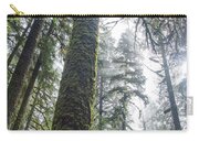 Majestic Forest Canopy In Olympic National Park Zip Pouch