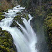 Serene Flow Through Mossy Forest Art Print