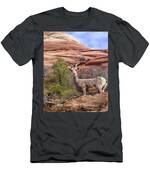 Big Horn Sheep In Zion National Park T-Shirt