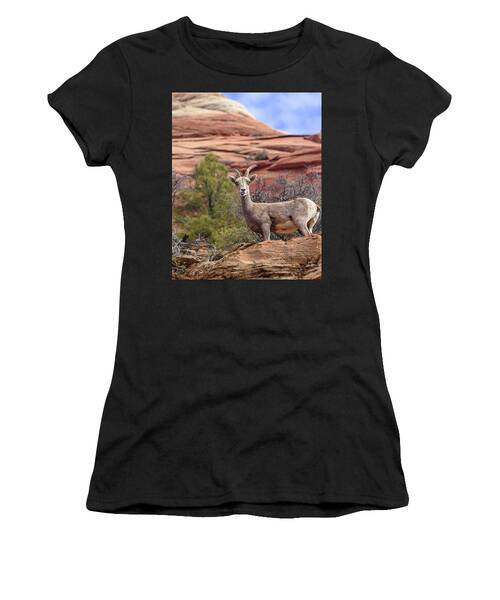 Big Horn Sheep In Zion National Park Women's T-Shirt