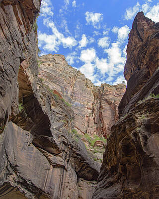 National Parks Zion National Park Art