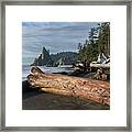 Driftwood on a Pebbled Beach Framed Print