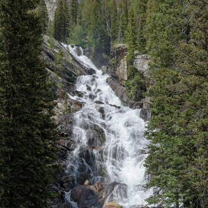 Waterfall Amidst Forest Landscape by Brandon Wichmann