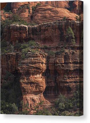 Majestic Canvas Prints