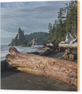 Driftwood on a Pebbled Beach Wood Print