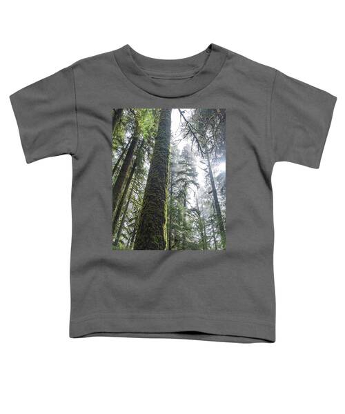 Majestic Forest Canopy In Olympic National Park Toddler T-Shirt