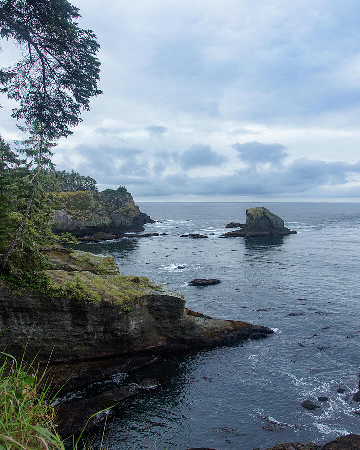 Rugged Coastal Landscape with Cliffs Photograph - Rugged Coastal Landscape with Cliffs by Brandon Wichmann