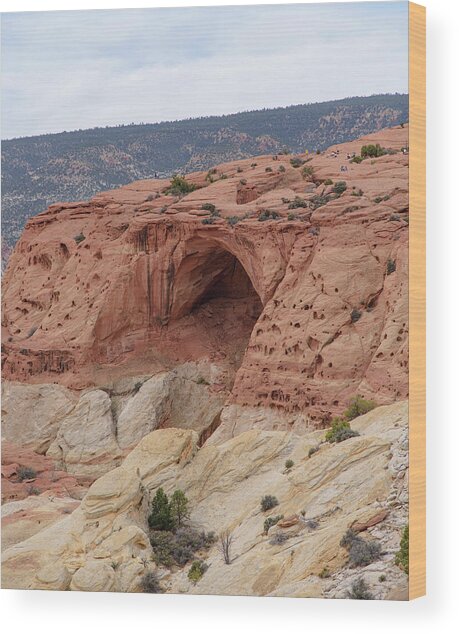 Natural Arch In Desert Landscape Wood Print