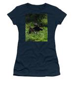 Moose Resting In Sunlit Meadow In Grand Teton National Park Women's T-Shirt