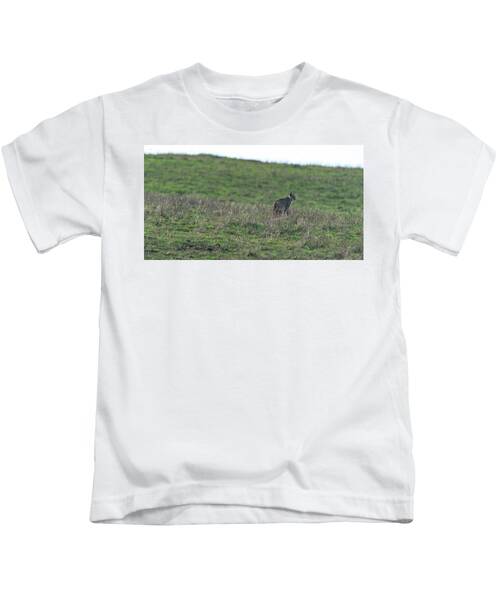 Bobcat in Point Reyes Kids T-Shirt by Brandon Wichmann