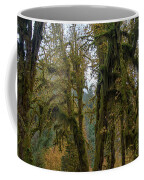 Moss-Covered Forest Trees Coffee Mug