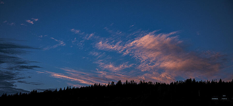 Twilight Over Forested Horizon Photograph by Brandon Wichmann