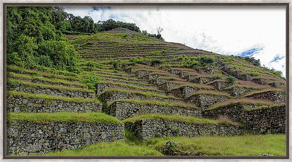 Ancient Terraces Amidst Greenery Framed Print