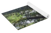 Majestic Forest Canopy In Olympic National Park Yoga Mat