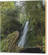 Serene Waterfall in Lush Forest Wood Print