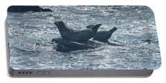 Seals Resting On Rocky Shoreline Portable Battery Charger