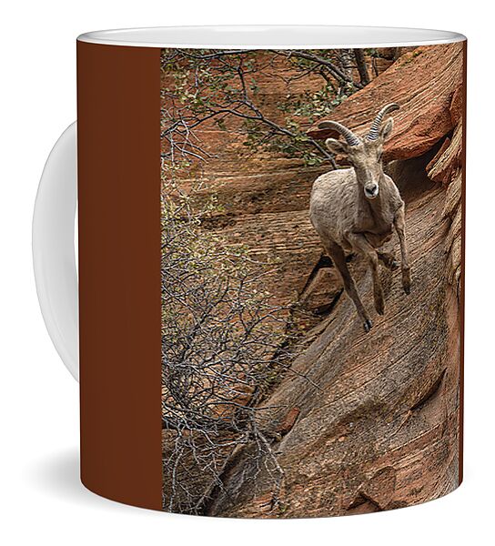 Big Horn Sheep Agile Descent In Zion National Park Coffee Mug