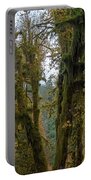Moss-Covered Forest Trees Portable Battery Charger