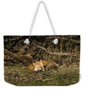Peaceful Fox In Sunlit Meadow Weekender Tote Bag