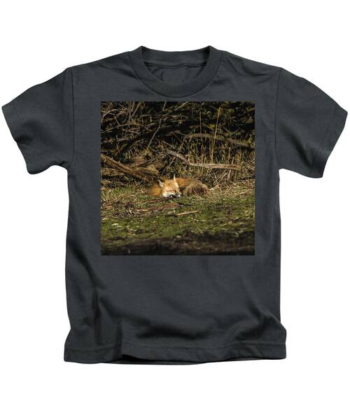 Peaceful Fox in Sunlit Meadow Kids T-Shirt by Brandon Wichmann