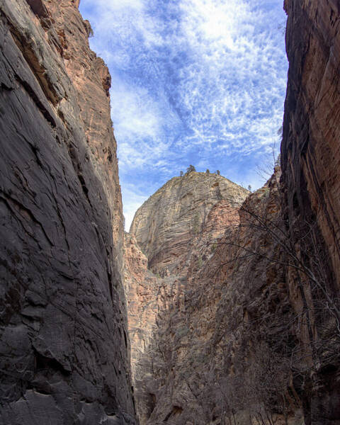 Towering Canyon Cliffs And Blue Sky Poster