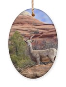 Big Horn Sheep In Zion National Park Ornament