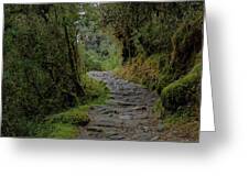 Moss-covered Path Through Lush Forest On The Inca Trail Greeting Card