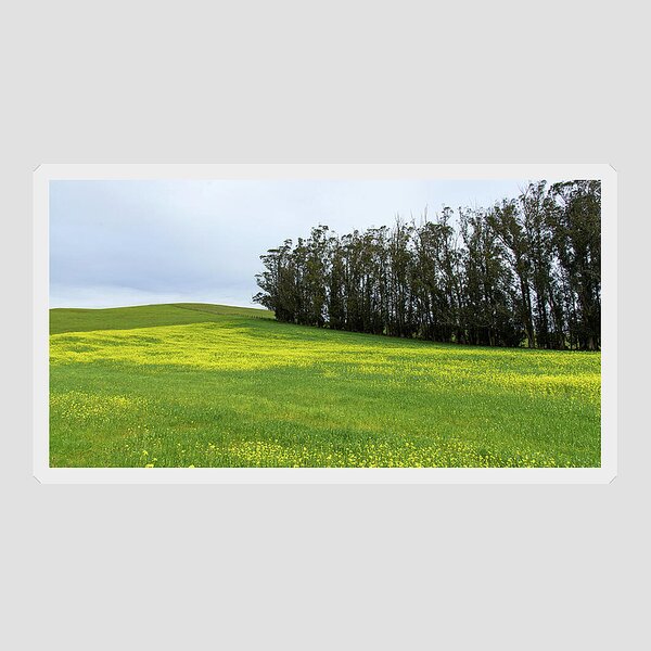 Rolling Hills With Blooming Wildflowers Sticker
