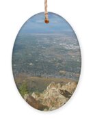 Expansive View From Ben Lomond Summit Ornament