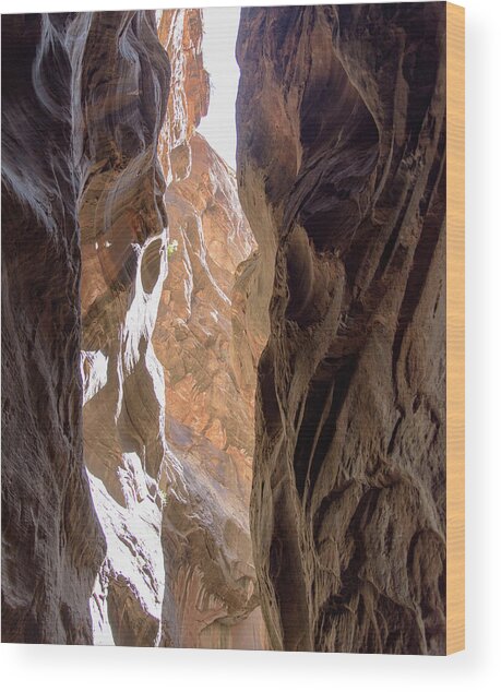 Sunlit Canyon Walls In The Narrows Wood Print