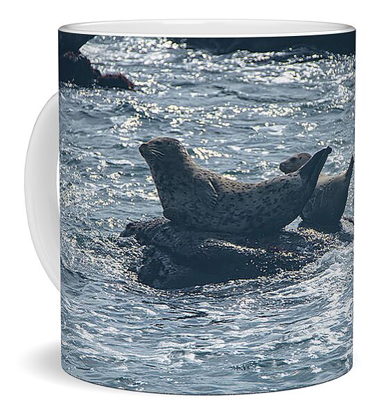 Seals Resting On Rocky Shoreline Coffee Mug
