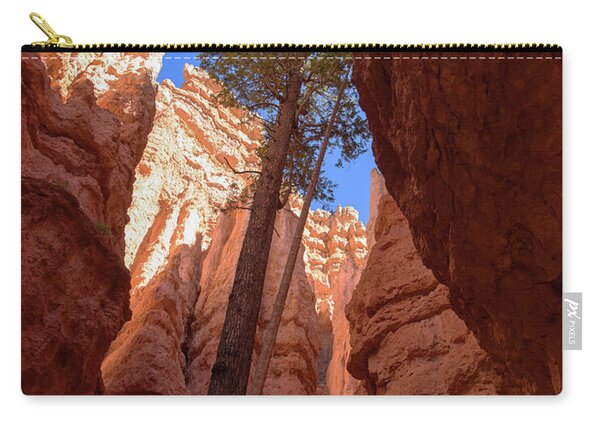 Tree Reaches Skyward In Bryce Canyon National Park Zip Pouch
