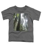 Majestic Forest Canopy In Olympic National Park Toddler T-Shirt