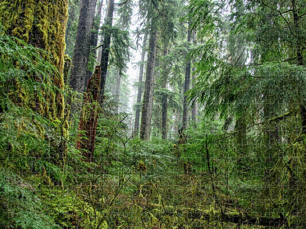 Misty Forest Silhouettes In Olympic National Park Jigsaw Puzzle