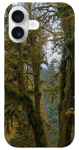 Tree iPhone Cases