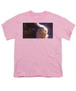 Antelope Canyon Curves And Light Play Youth T-Shirt